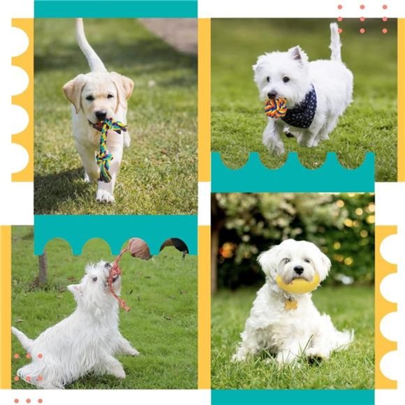 20Pack Luxury Puppy Toys for Teething, Cute Small Dog Toys with Rubber Puppy Toy - Picture 7 of 7